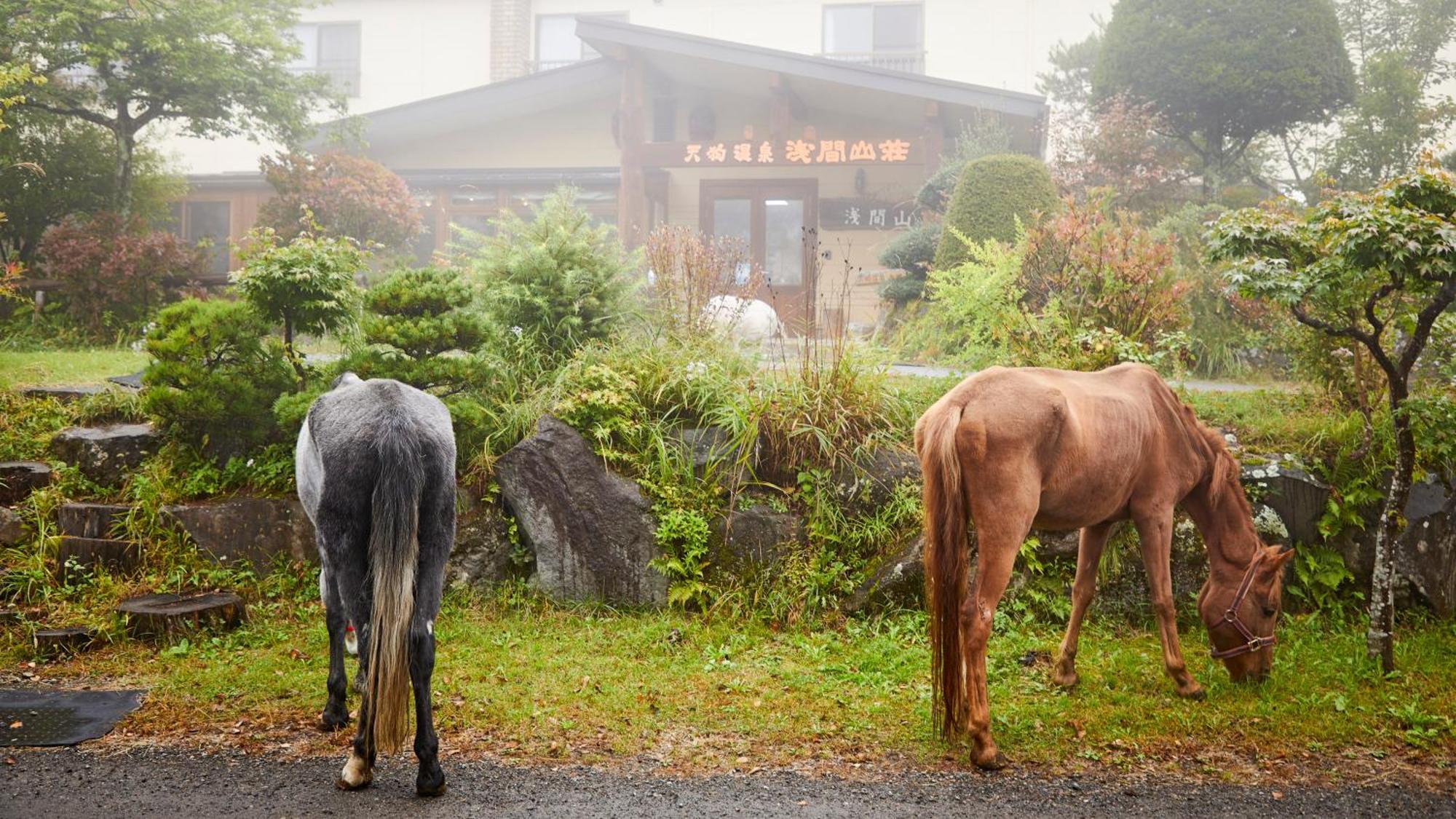 Tengu Onsen Asama Sanso Komoro المظهر الخارجي الصورة